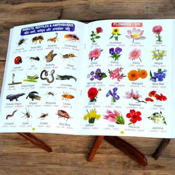 Divik All In One Book - Image 2