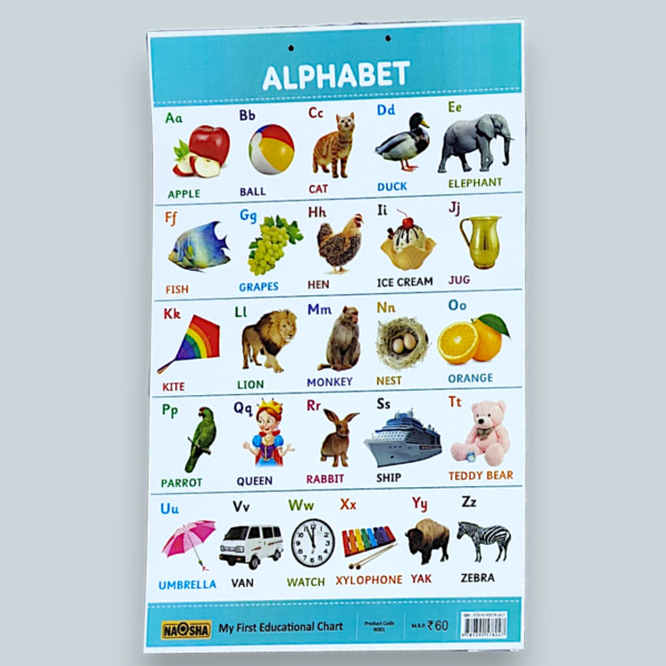 Enamel Coated Learning Charts for kids - Image 7