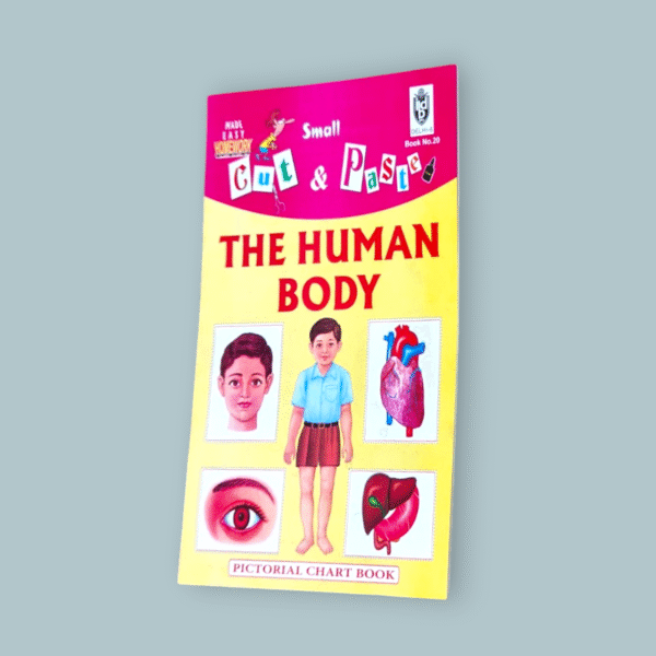 The Human Body