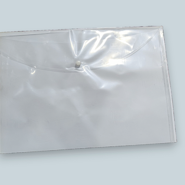 Ankita A3 My Clear Bag