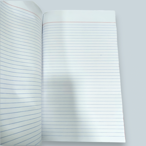 Bahi Khata Book Pages